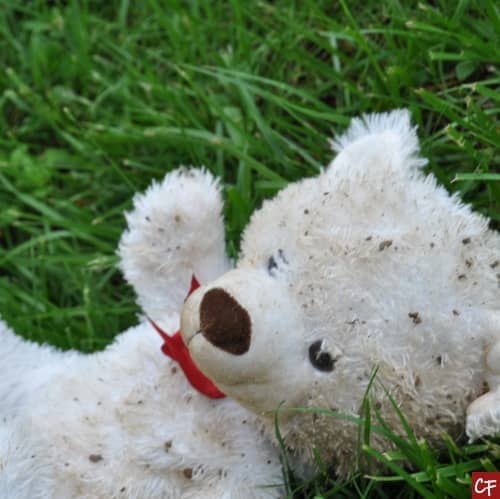 Photo d'un ours en peluche dans l'herbe avec de la terre sur lui
