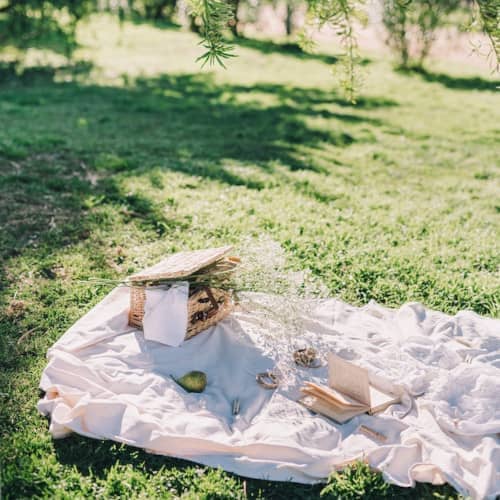 Photo d'un pique-nique sur l'herbe avec panier, livre, poire, et une corde