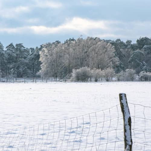 Photo d'un champs enneigé fermé par des barrières et avec une forêt au loin
