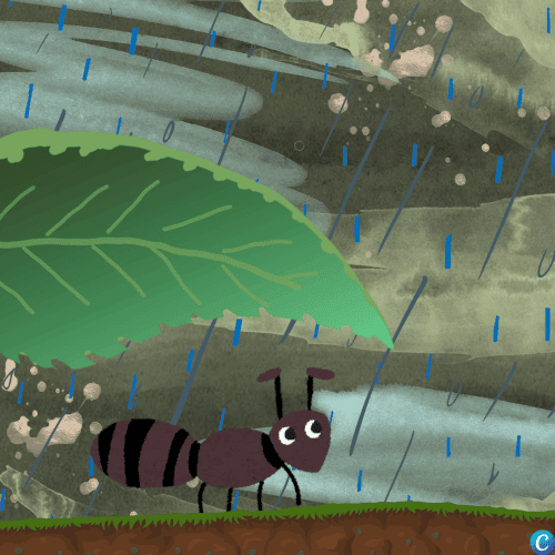 Image représentant une fourmi sous la pluie, abritée sous sune feuille