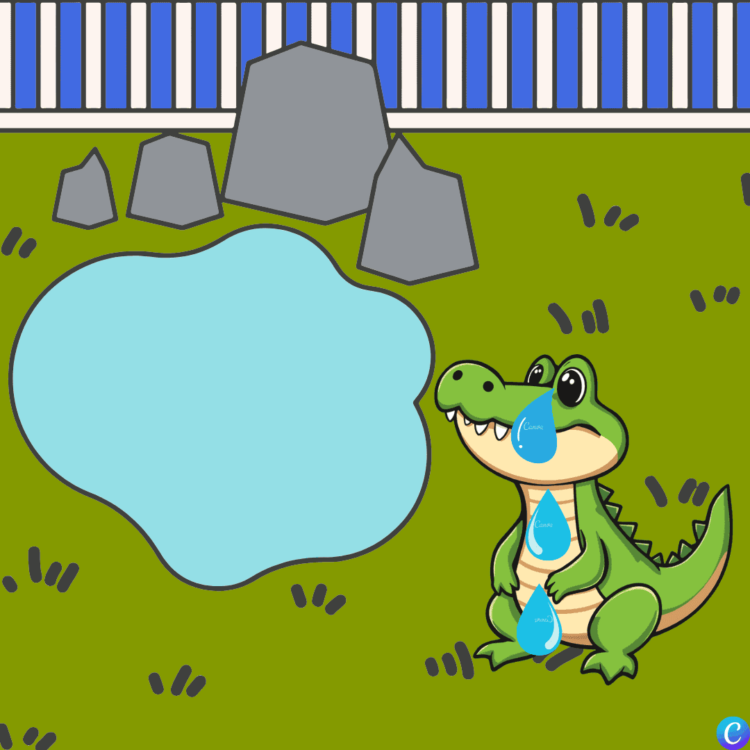 Image représentant un crocodile qui pleure