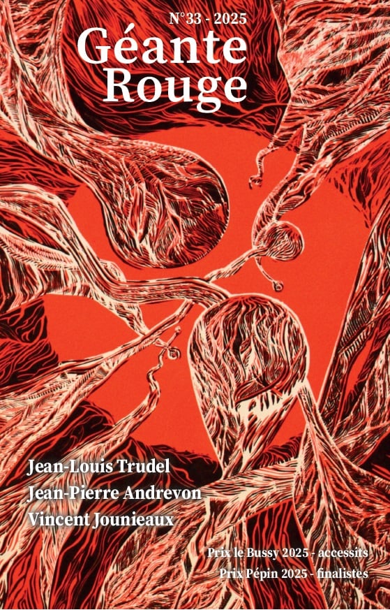 Page de garde de la revue représentant des formes rouges, comme à l'intérieur d'un vaisseau sanguin