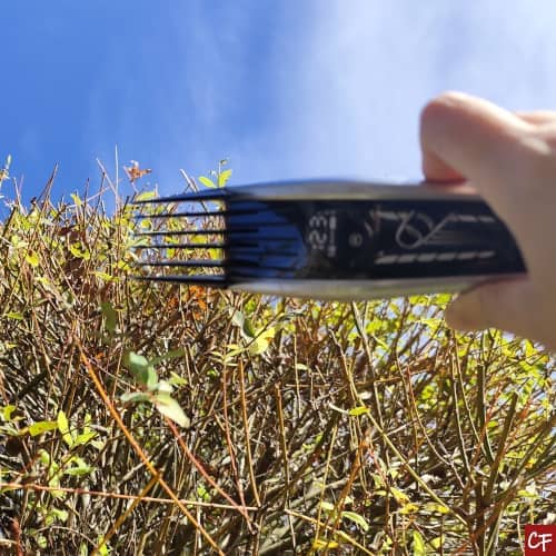 Photo d'une main denant une tondeuse à cheveux et faisant semblant de tondre un buisson