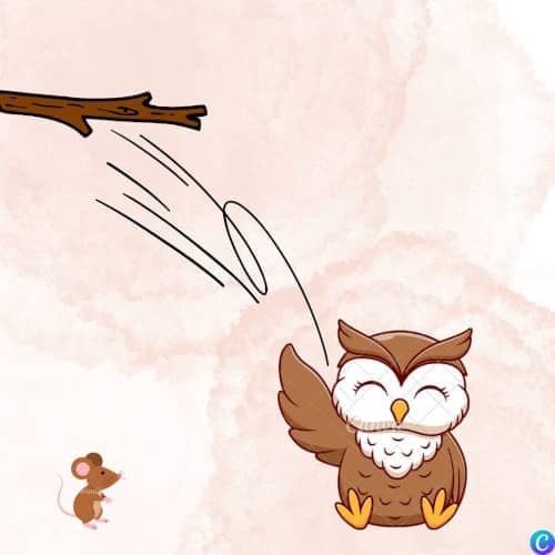 Image d'un hibou tombé par terre