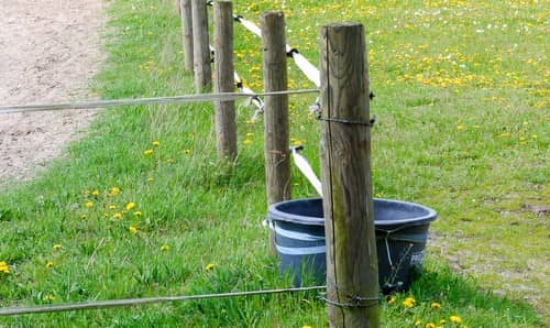 Photo d'un cheval sautant un obstacle