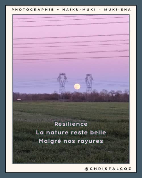 Photo d'une très belle lune entre deux pylônes électriques sur un ciel couchant rosé zébré par de nombreux fils électriques