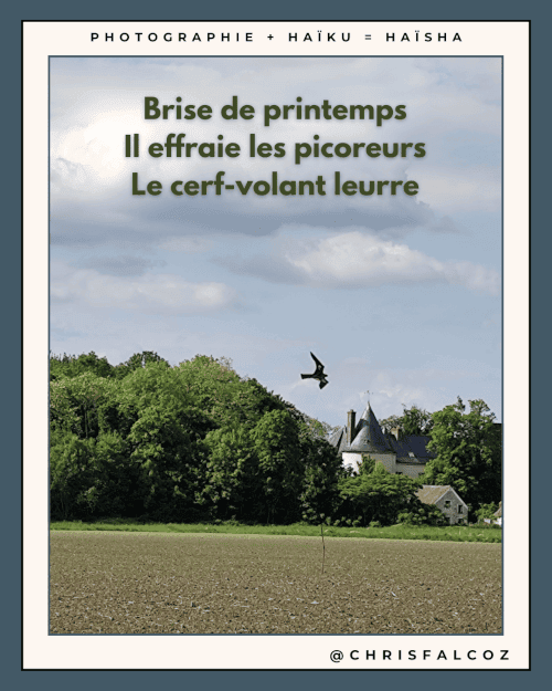 Photo d'un cerf-volant imitant un rapace planant au-dessus d'un champ, avec un chateau au loin